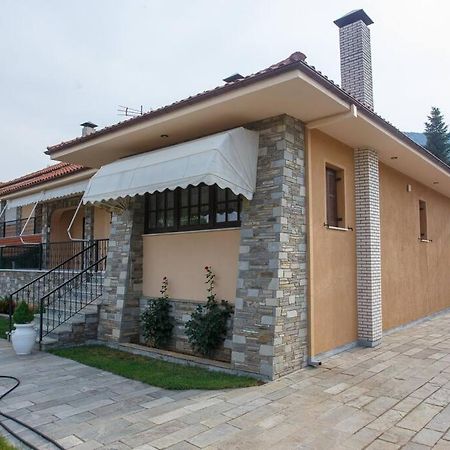 Βίλα Για Όλες Τις Εποχές Του Χρόνου Kozani Esterno foto
