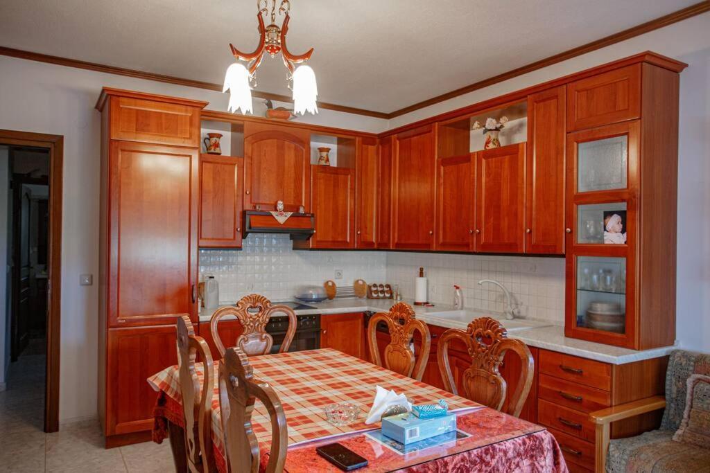 Βίλα Για Όλες Τις Εποχές Του Χρόνου Kozani Esterno foto