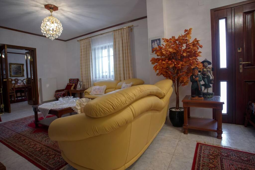 Βίλα Για Όλες Τις Εποχές Του Χρόνου Kozani Esterno foto